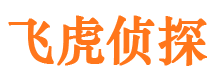 修水市私家侦探公司